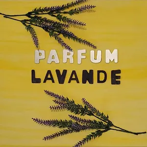 Parfum Lavande , Grasse France